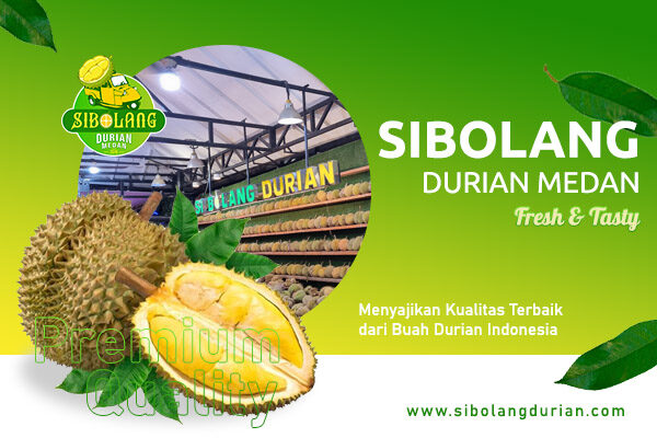 Artikel sibolang durian (1)