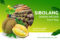Artikel sibolang durian (2)