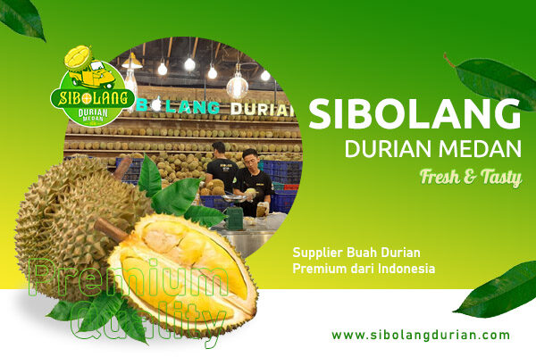 Artikel sibolang durian (3)